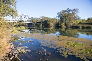 Hike the Cosumnes River Walk Trail