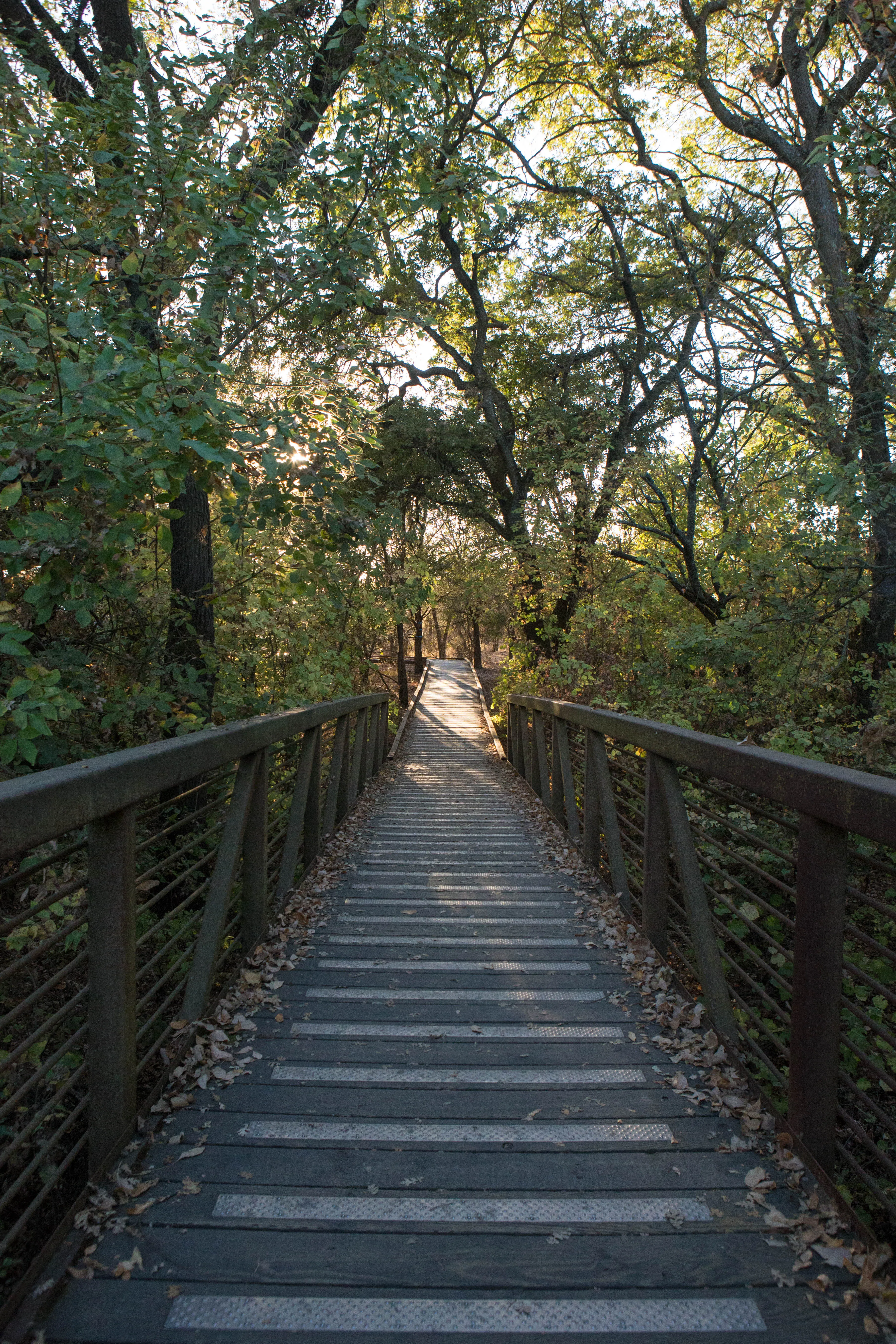 Hike the Cosumnes River Walk Trail