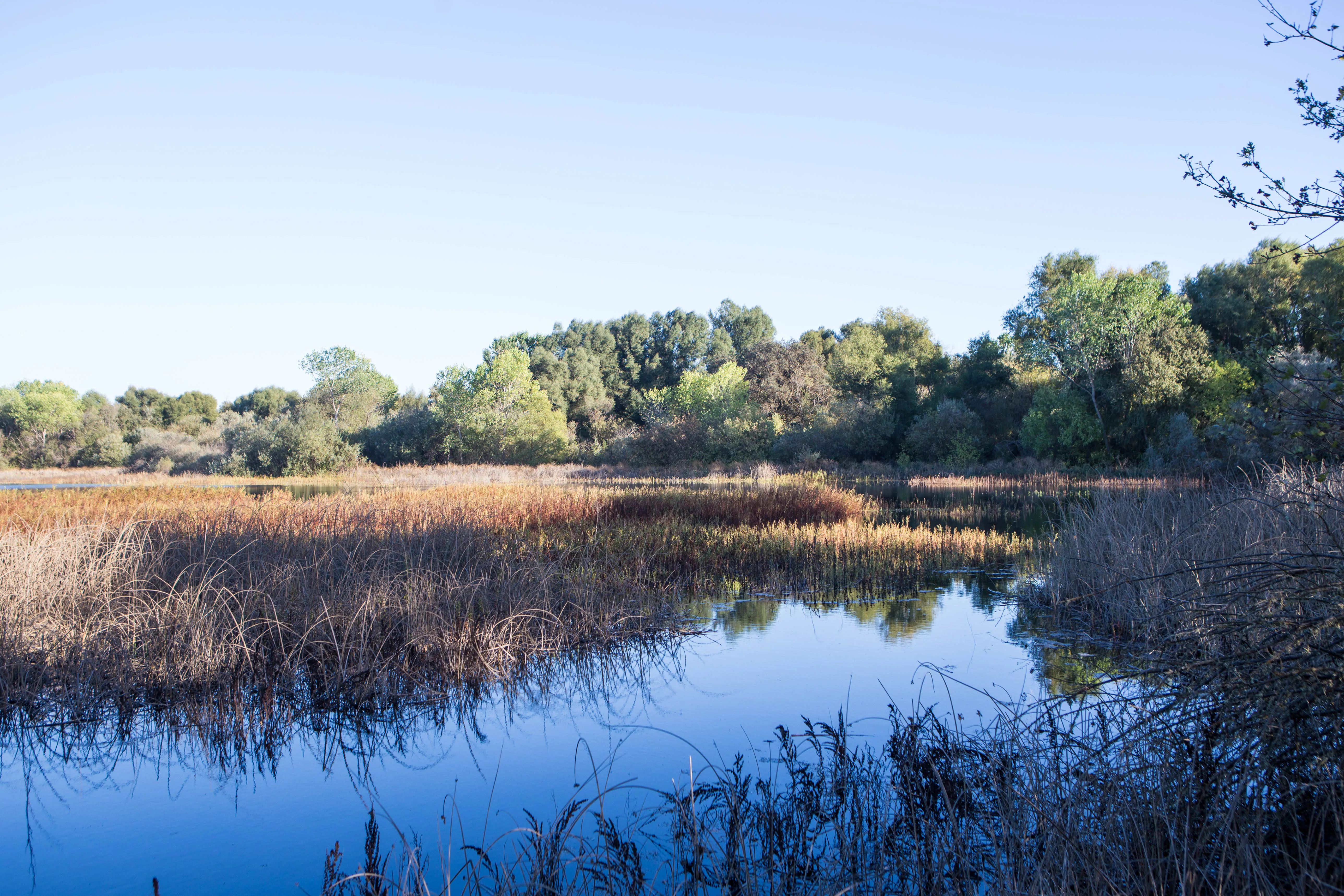 Hike the Cosumnes River Walk Trail