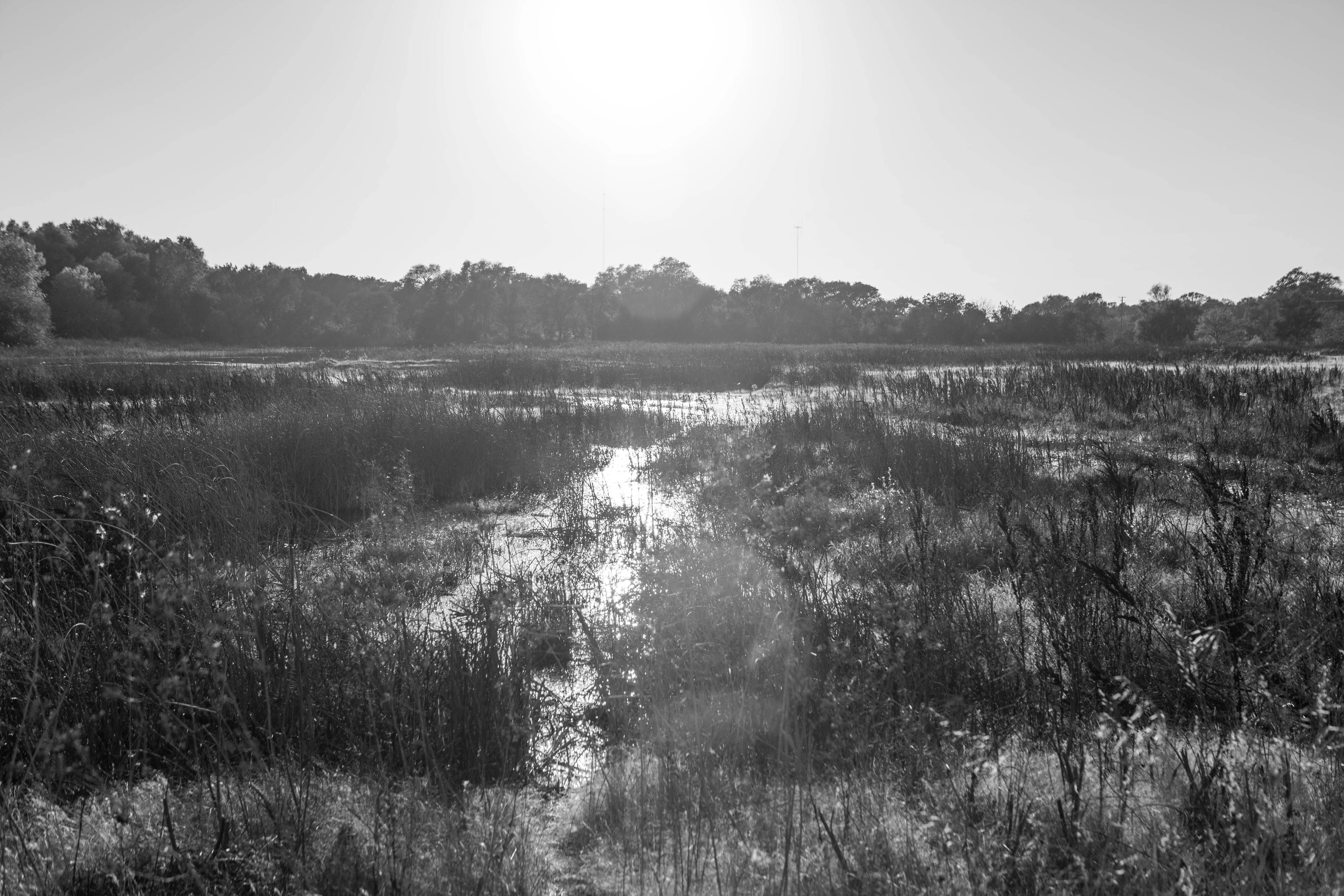 Hike the Cosumnes River Walk Trail