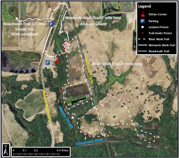 Hike the Cosumnes River Walk Trail
