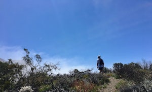 The Hike that Humbled Me