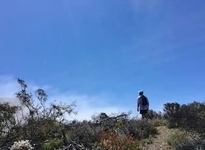 The Hike that Humbled Me