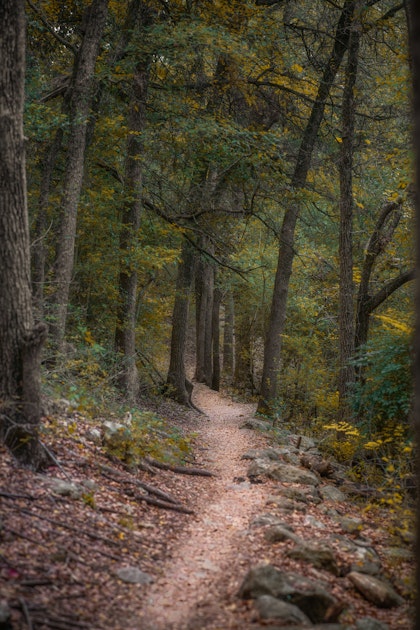 Hike the Great Hills Park Trail, Austin, Texas