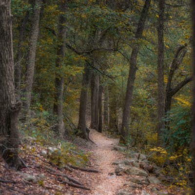 Hike the Great Hills Park Trail