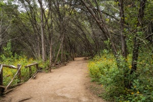 Turkey Creek Trail