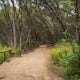 Hike Turkey Creek Trail
