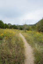 Valburn to Bull Creek Loop