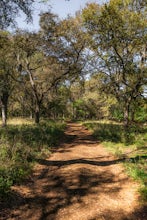 Hike Lower Purgatory Creek Greenspace To Dante's Trail Loop