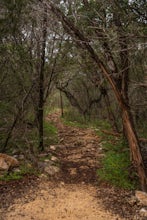 Hike Purgatory Creek Overlook Via Dante's Trail