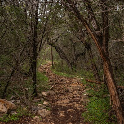 Hike Purgatory Creek Overlook Via Dante's Trail