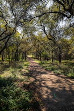 Hike Limbo, Dante, Old West, Beatrice, And Ovid East Loop