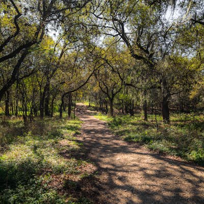 Hike Limbo, Dante, Old West, Beatrice, And Ovid East Loop