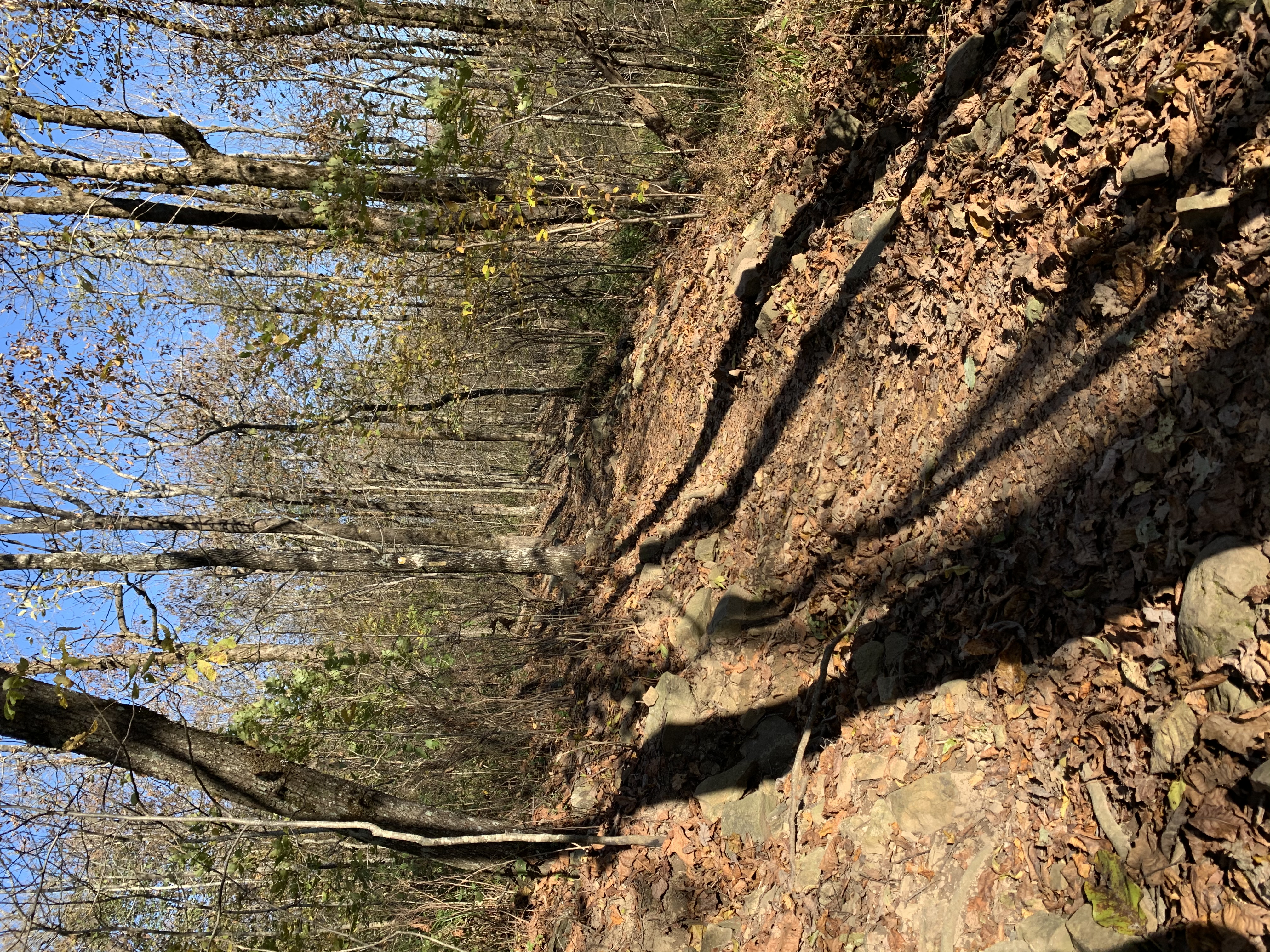 Lovers' Leap Trail