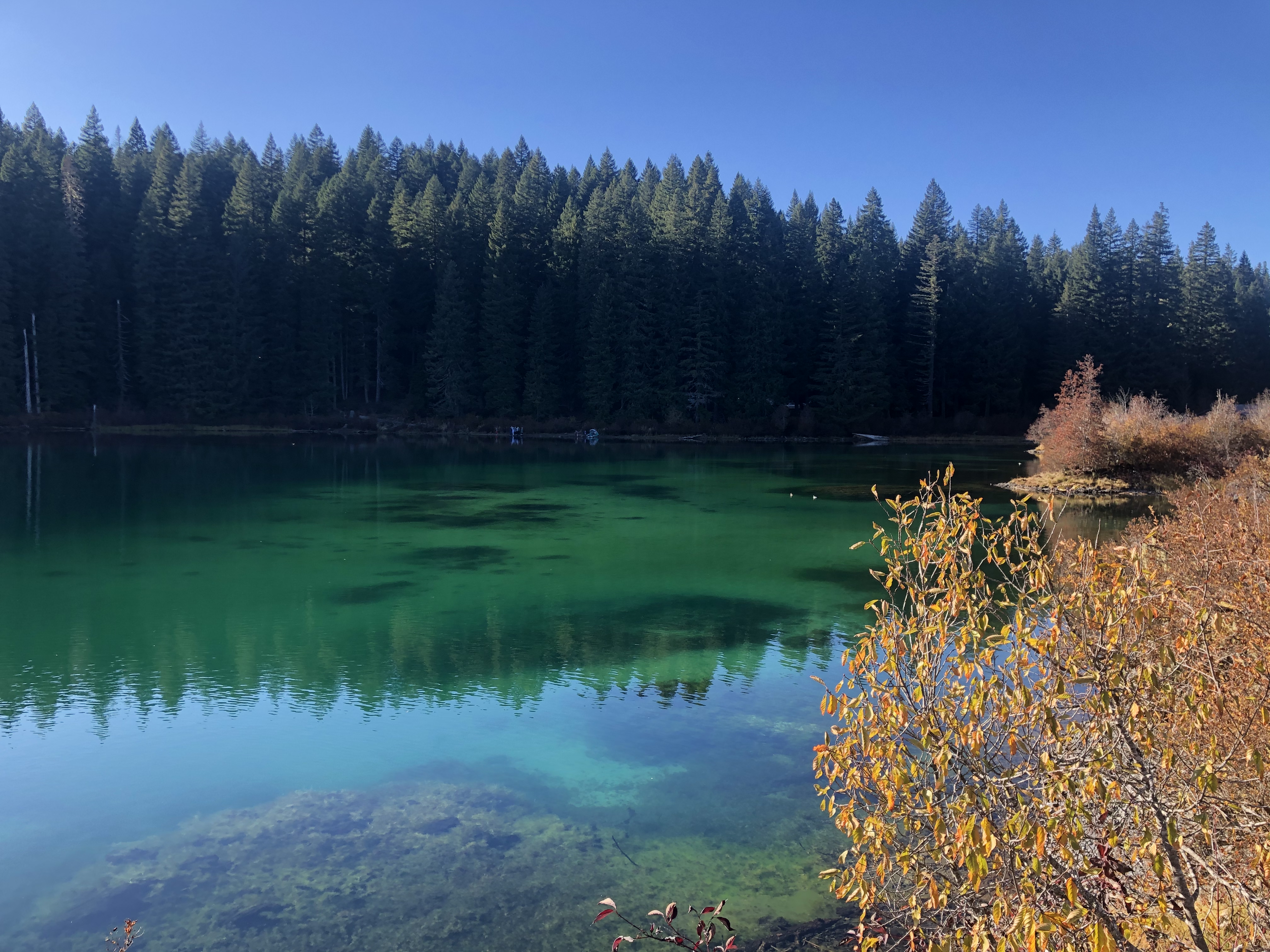 Clear Lake Loop