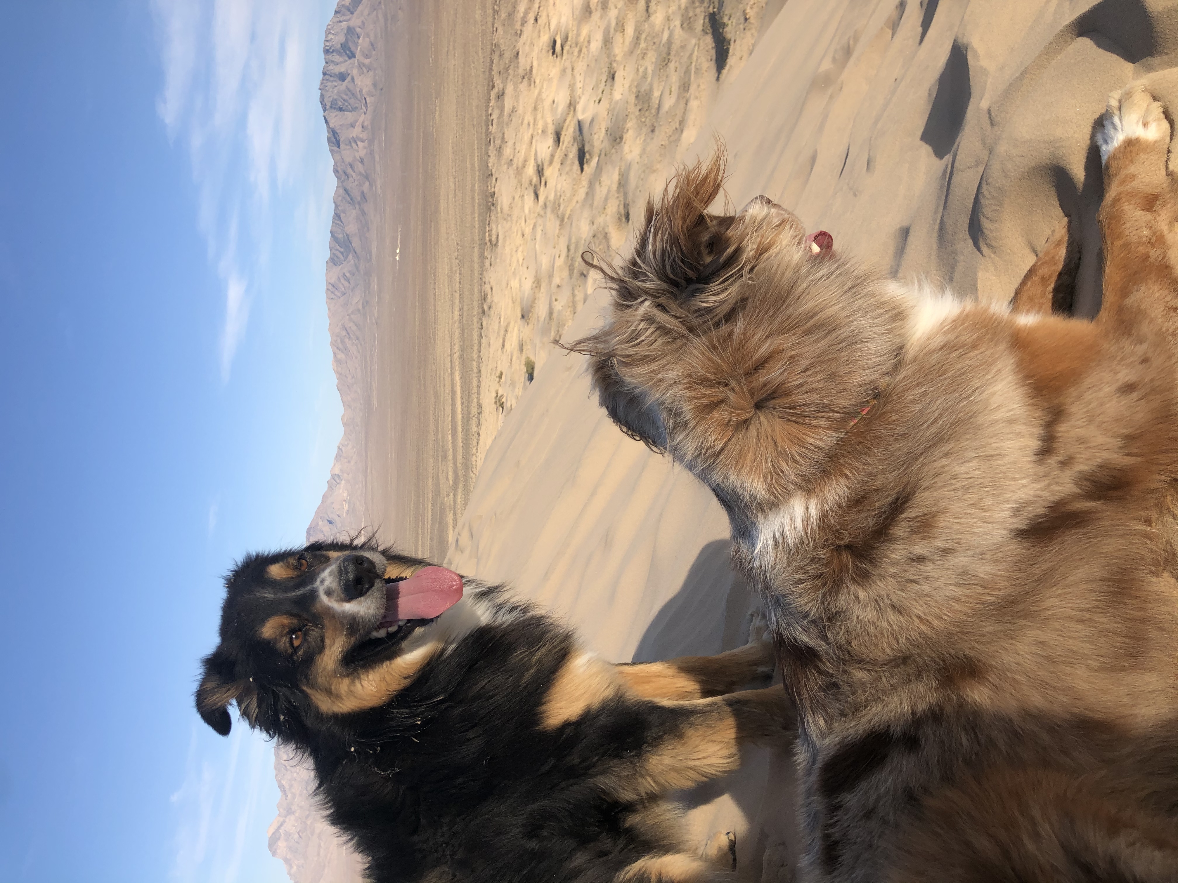 Kelso Dunes