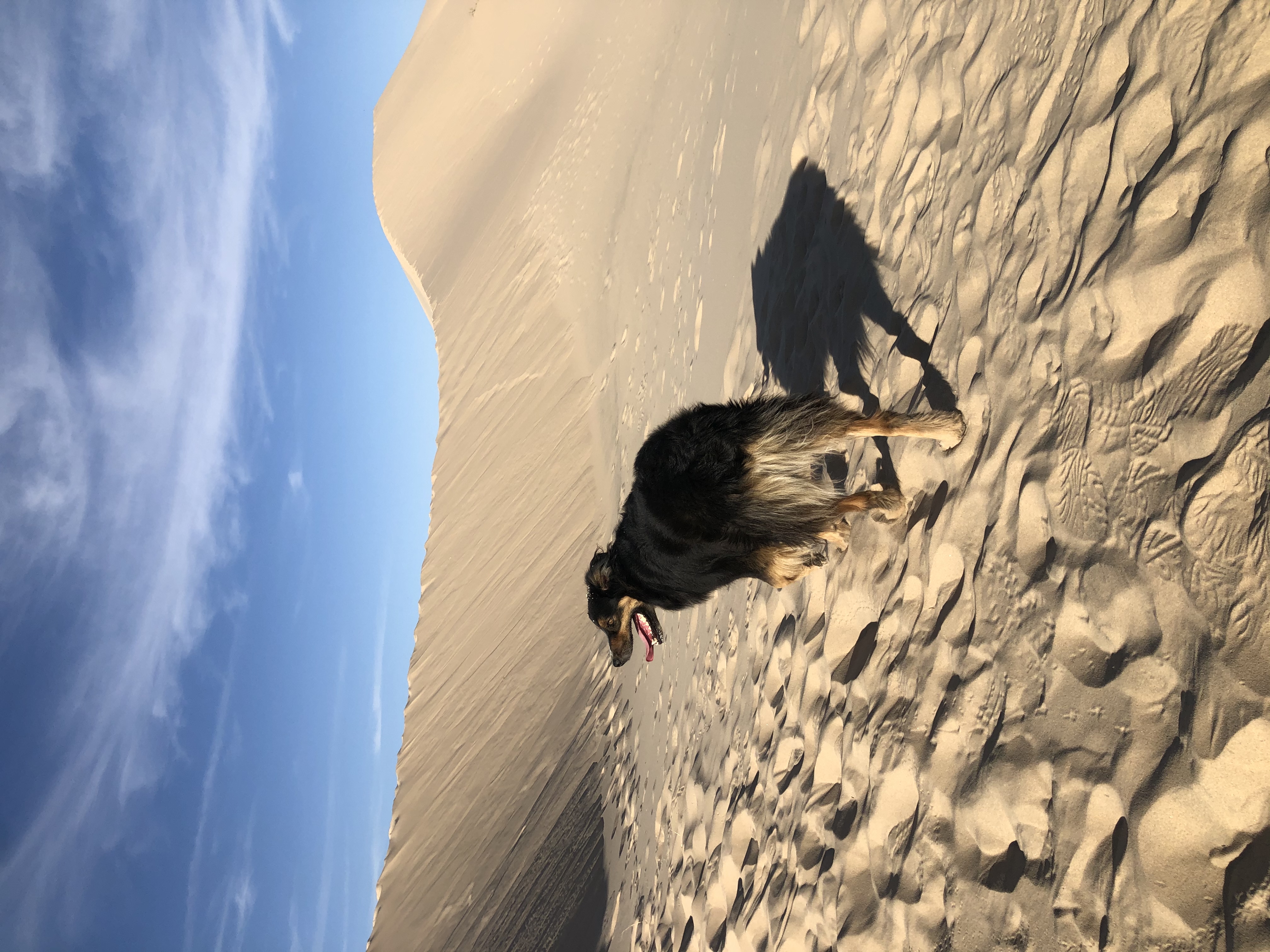 Kelso Dunes