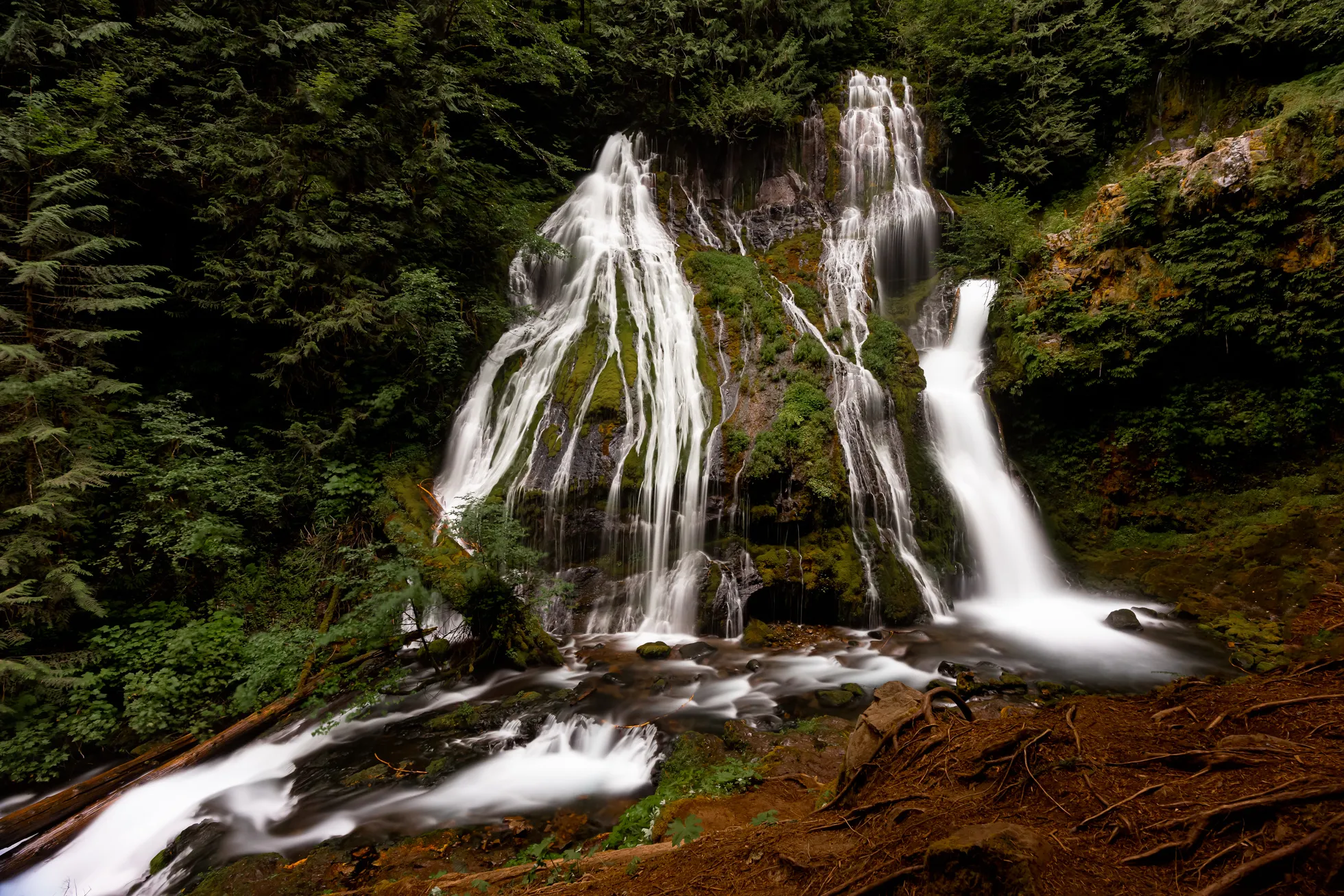 Panther Creek Falls