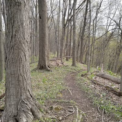 Hike the Shawnee Ridge Trail