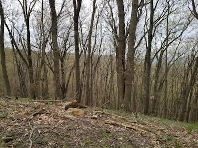 Hike the Shawnee Ridge Trail