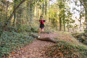 13 Reasons You Should Make Greenville, SC Your Next Adventure Destination