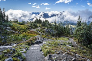 Skyline Loop in Mt. Rainier NP