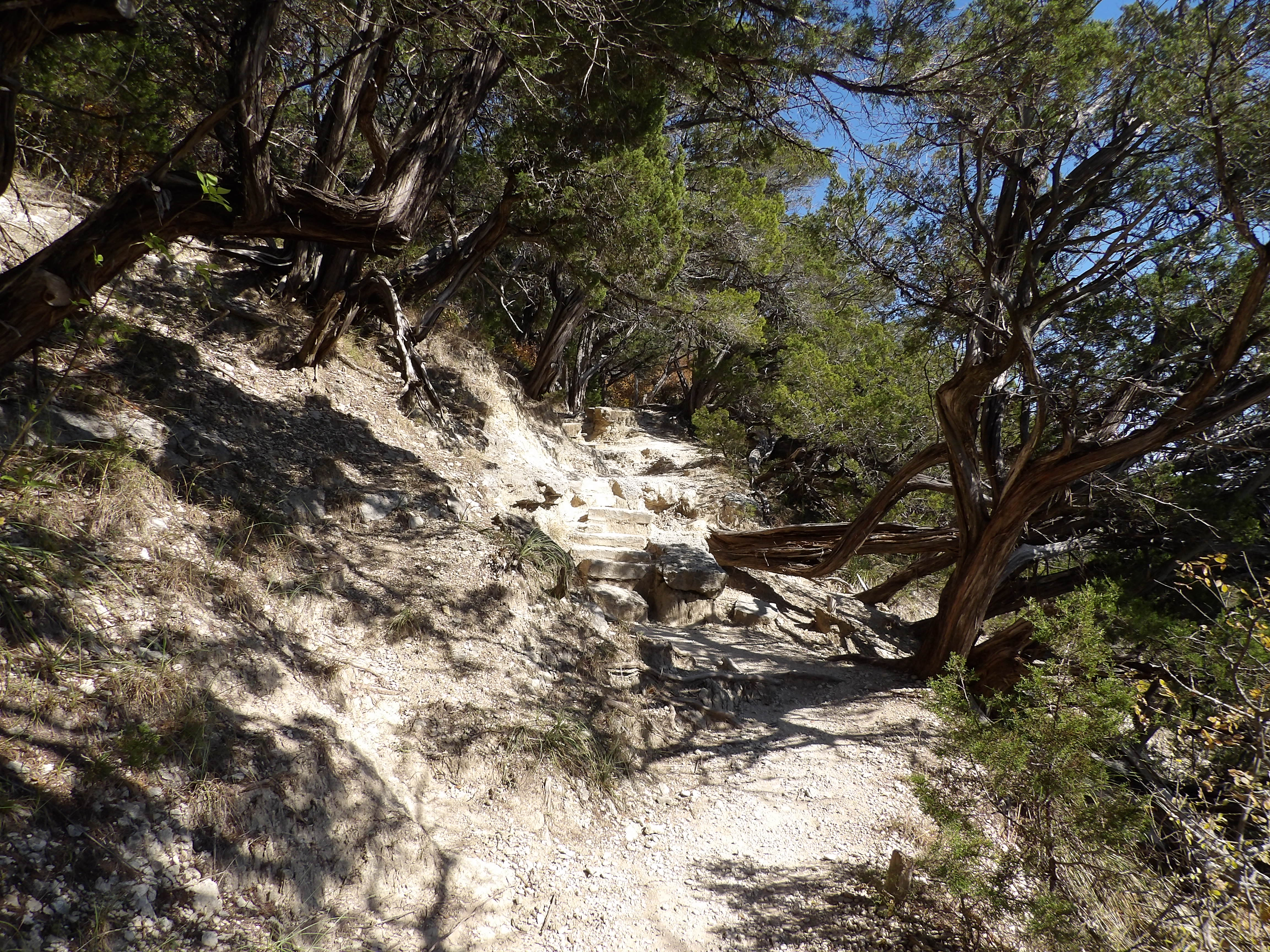 Equestrian Blue Hole And Limestone Ledge Loop
