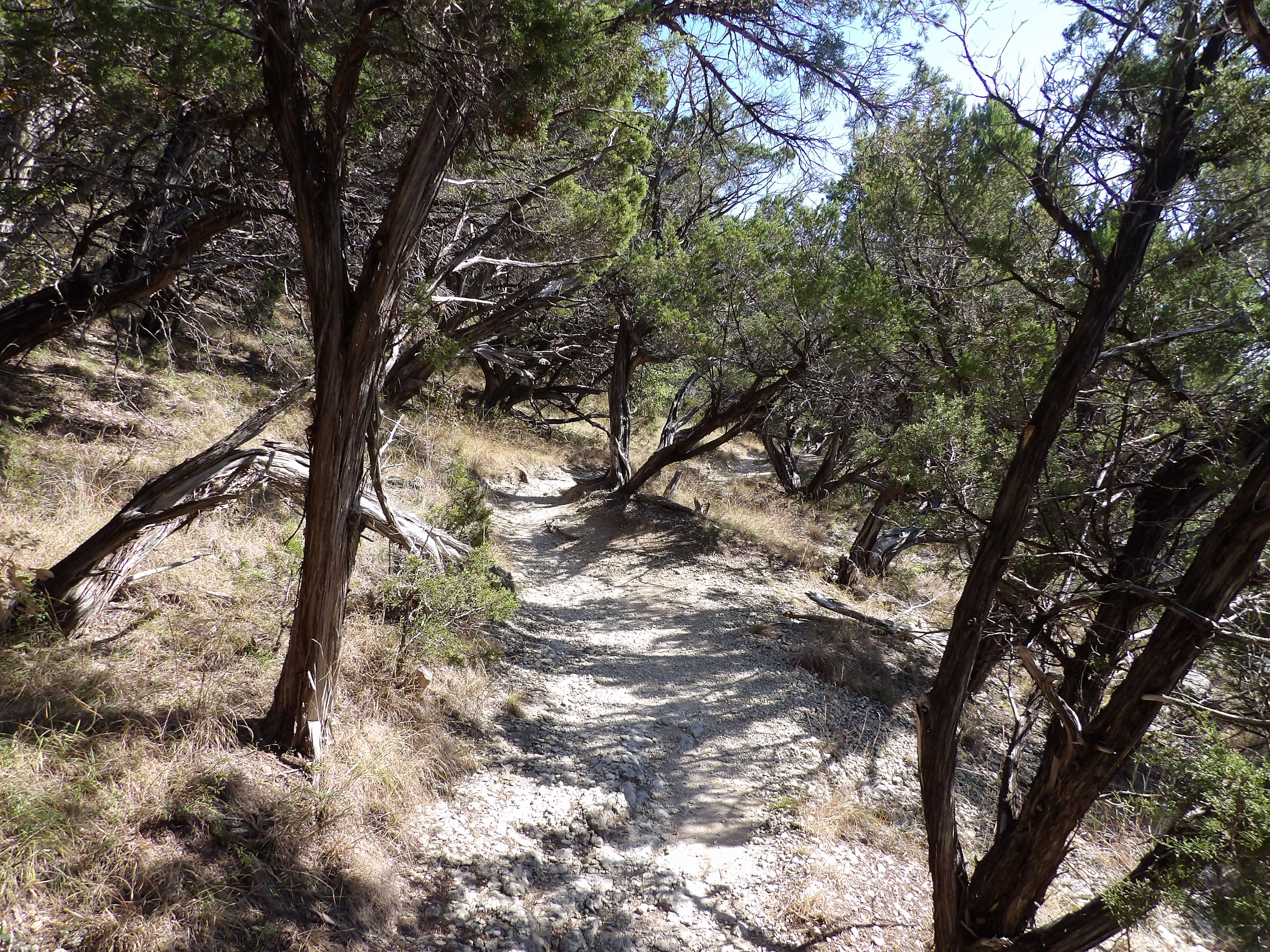 Equestrian Blue Hole And Limestone Ledge Loop