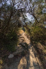 Stephenson Preserve Loop