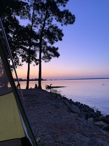 Camp at Dreher Island