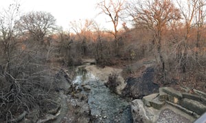 Exploring Arbor Hills Nature Preserve, Plano Texas