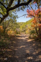 Hike Lost Maples Flats