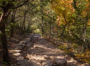 Hike the Lost Maples West Trail Loop