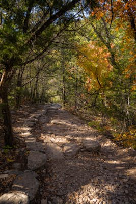 Hike the Lost Maples Extra Loop Trail