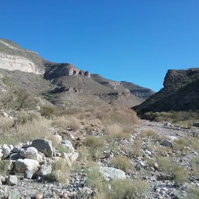 Hike Alamo Canyon Loop Trail
