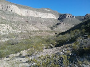 Hike Alamo Canyon Loop Trail
