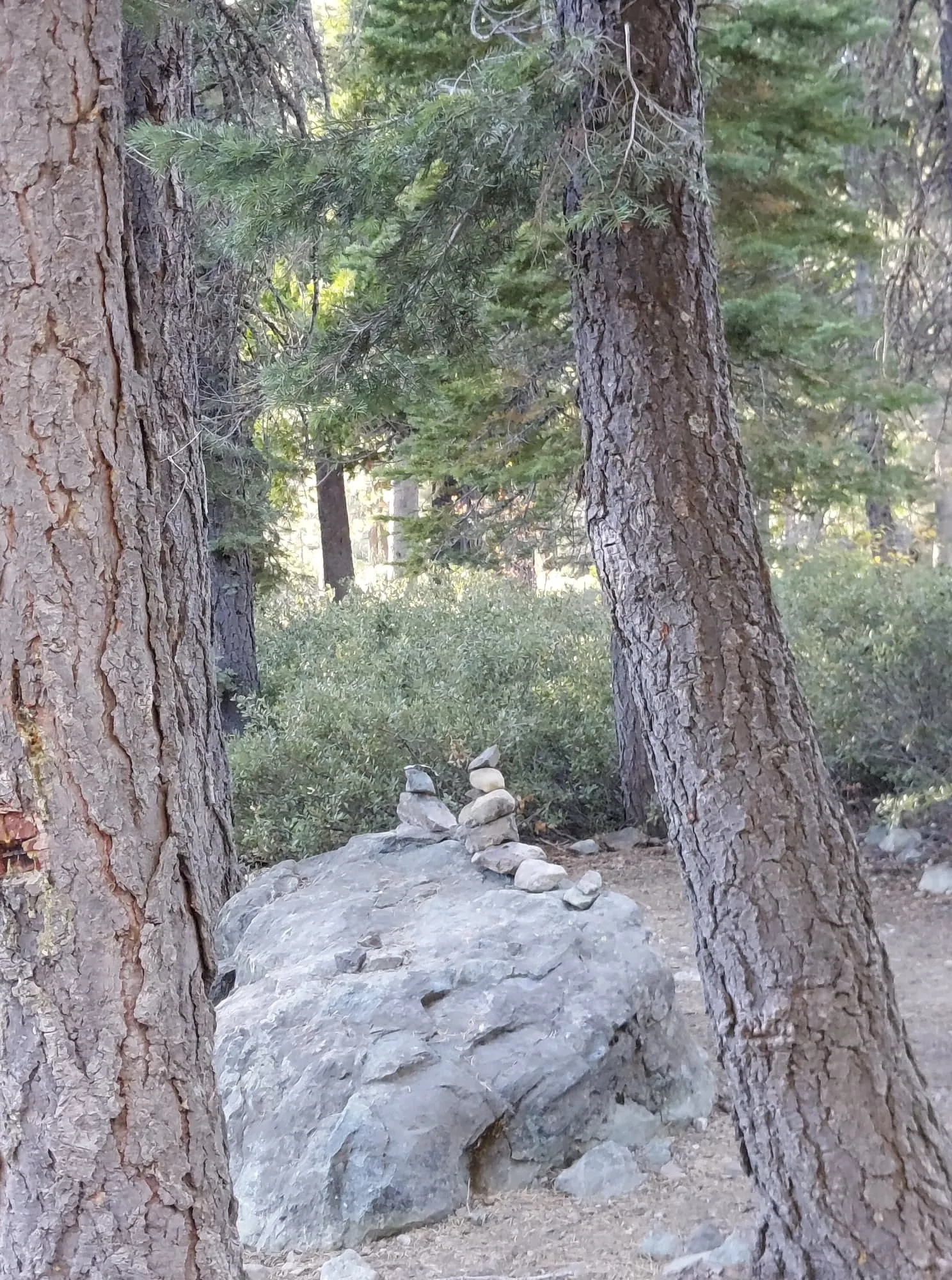 Camp at Sardine Lake Campground