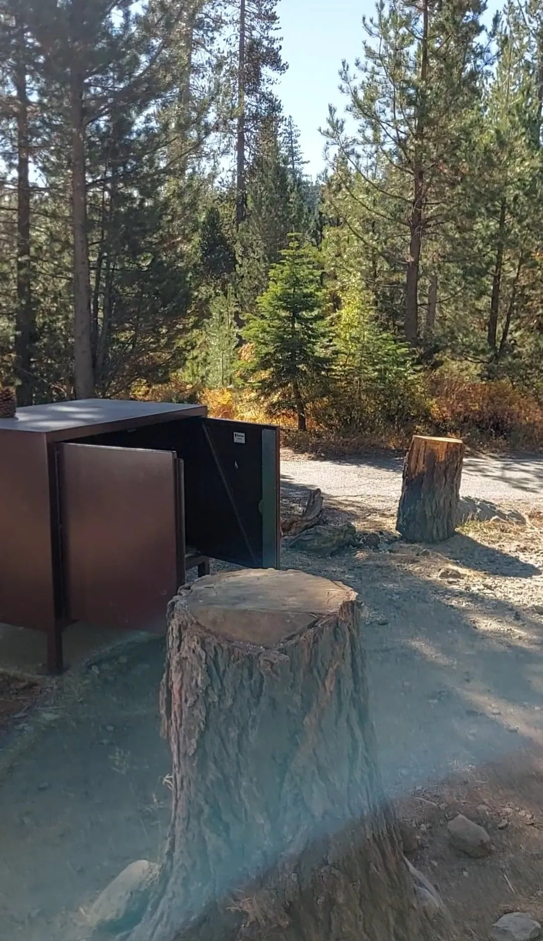 Camp at Sardine Lake Campground
