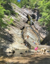 Hike Hamilton Falls