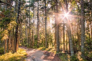 Hike Mount Ascutney