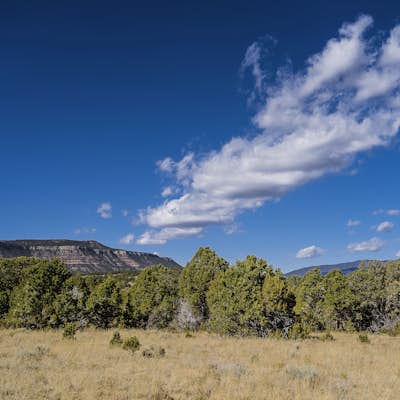 Hike the South Pasture Loop Trail