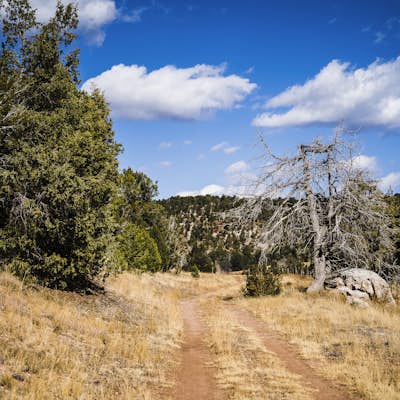 Hike the South Pasture Loop Trail
