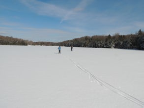 Woodford State Park Loop