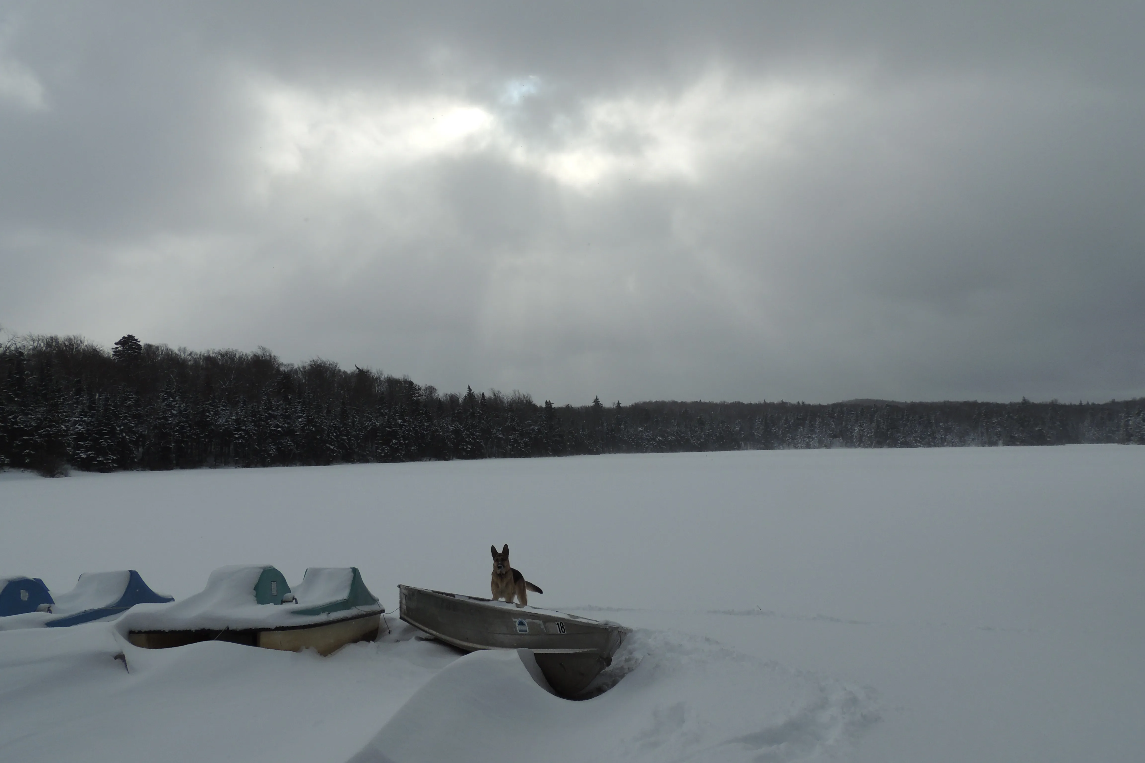 Woodford State Park Loop
