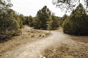 Hike the Glorieta Battlefield Trail