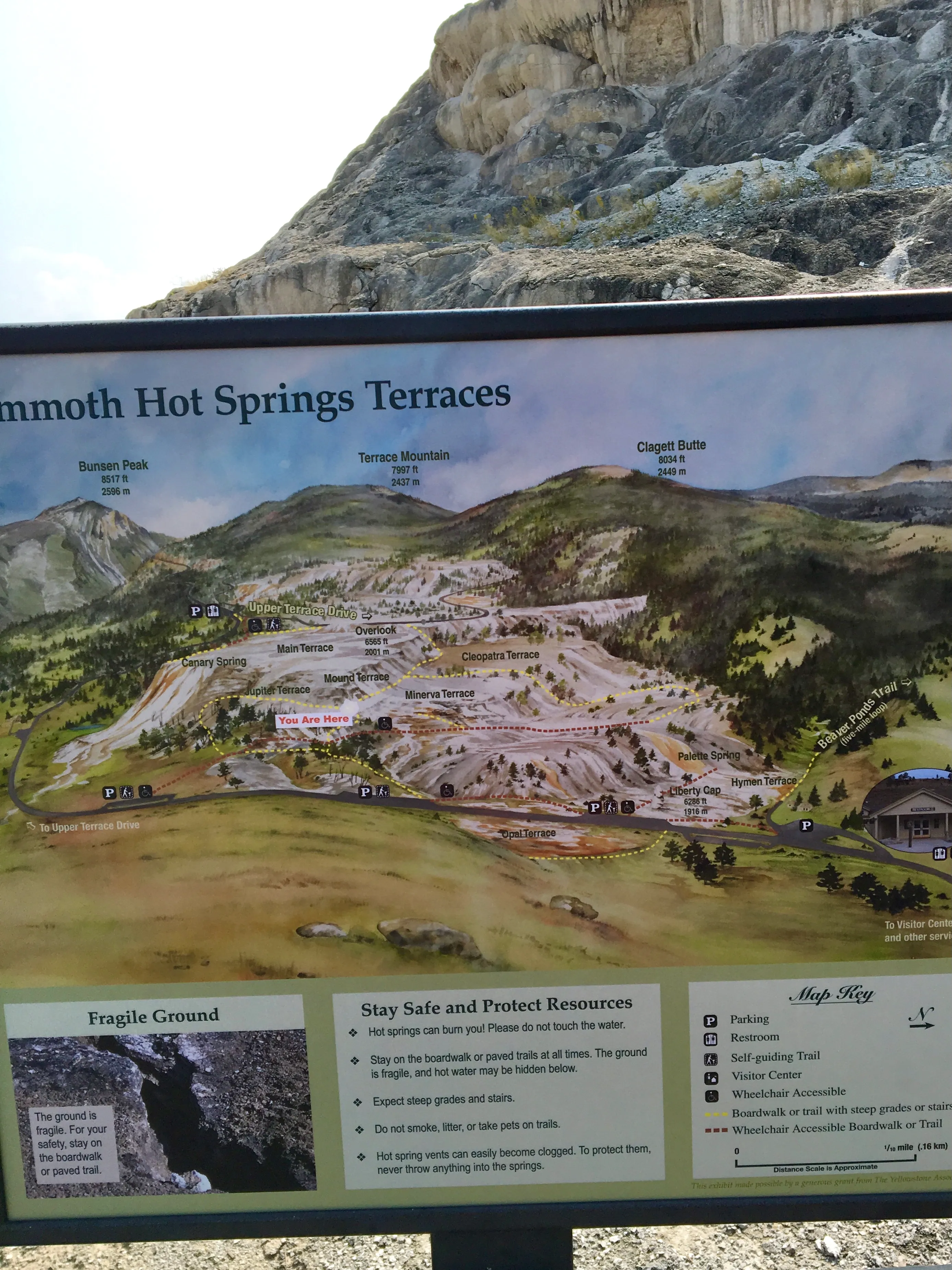 Mammoth Hot Springs
