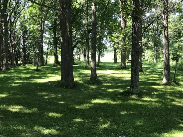 Hike the Minnesota Hiking Club Trail in Mille Lacs Kathio