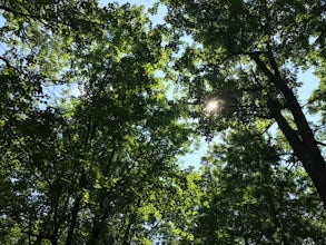 Hike the Minnesota Hiking Club Trail in Mille Lacs Kathio