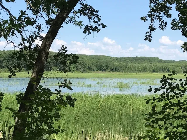 Hike the Minnesota Hiking Club Trail in Mille Lacs Kathio