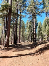 Purple Trail and Burton Creek Loop